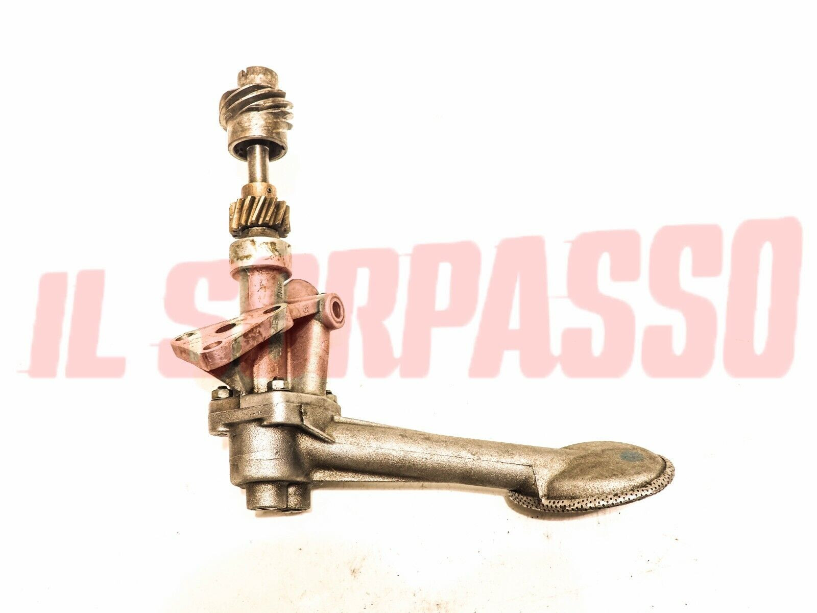  POMPA OLIO MOTORE ALFA ROMEO GT JUNIOR SPIDER ZAGATO ORIGINALE SPICA 1553202