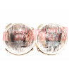 GRUPPI OTTICI FANALI FIAT 850 124 SPECIAL COUPE 238 1100 D MINI CARELLO 2 SCELTA